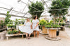 Wisteria Daydreams Dress