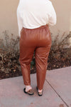 Back To The Future Trousers in Brick