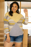 Can't Miss Color Block Top