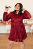 Mia Sequin Dress in Wine