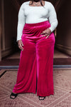 Cleo Velvet Wide Leg Pants