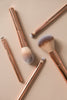 Gold and Glam 5 Pcs Brush Set With Pouch