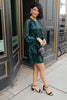 Holly Holiday Dress
