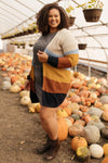 Many Colors Striped Cardigan
