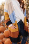Many Colors Striped Cardigan