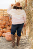 Melody Muted Chevron Sweater