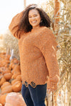 Dusted With Colors in Pumpkin Spice