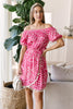 Wild Tassels Dress