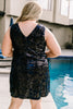 A Kiss At Midnight Sequin Dress