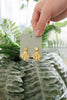 Dangling Sea Shell Earrings