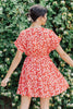 Poppy Days Dress