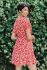 Poppy Days Dress